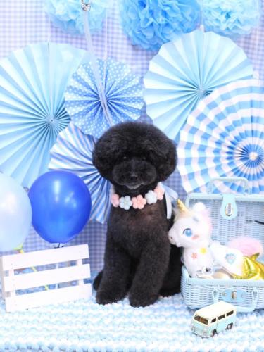 20231104ラブくん